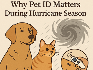 Microchips Can Save Lives: Why Pet ID Matters During Hurricane Season