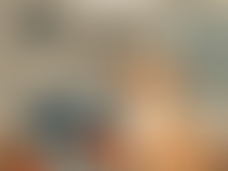 Hurricane Pet Checklist