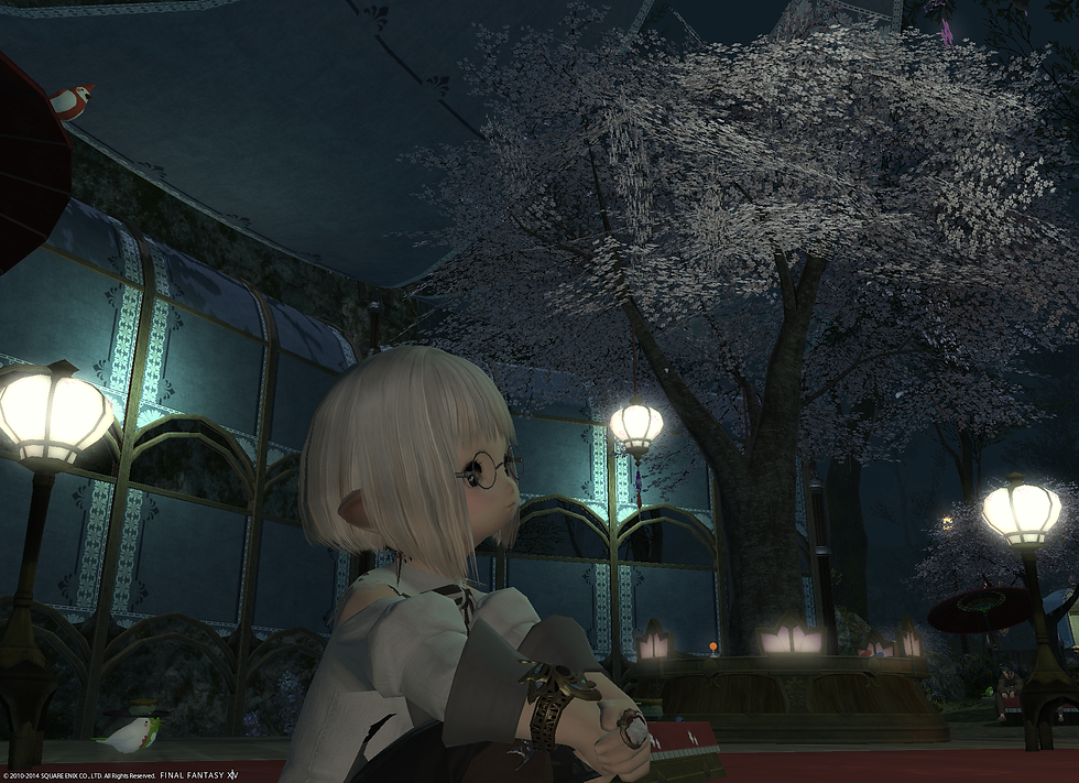 ffxiv_20140302_150308.png