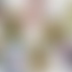Spring Blooms and Cherry Blossoms in Lincoln and Omaha Nebraska; Nebraska Real Estate Photography; Nebraska Mini Sessions