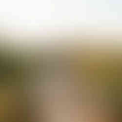 Omaha and Lincoln Nebraska Senior Photographer; Western and country photographer in Nebraska