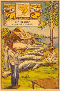 107 -.Pesca do peixe boi.jpg