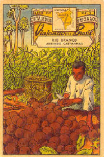 109 - Abrindo castanhas.jpg