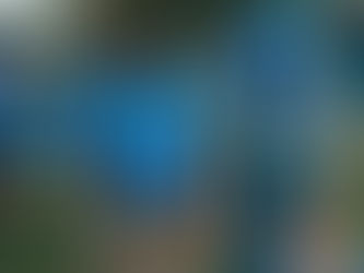 The Rugby Club United