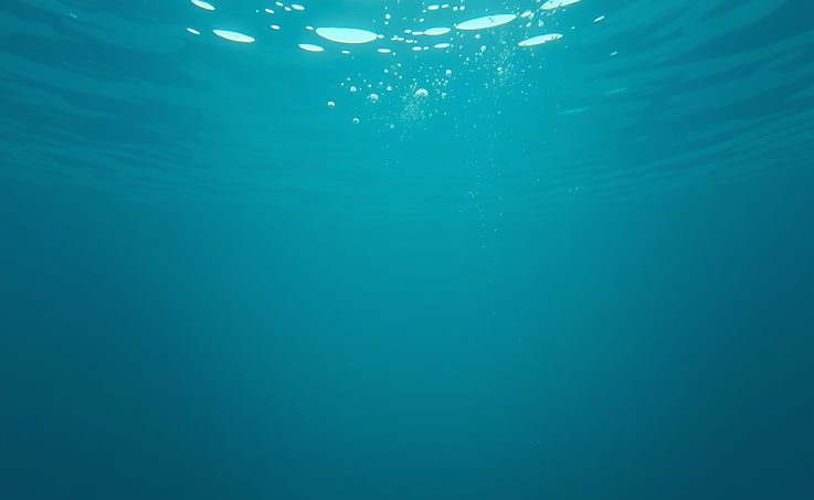 a simple, realistic underwater scene.jpg