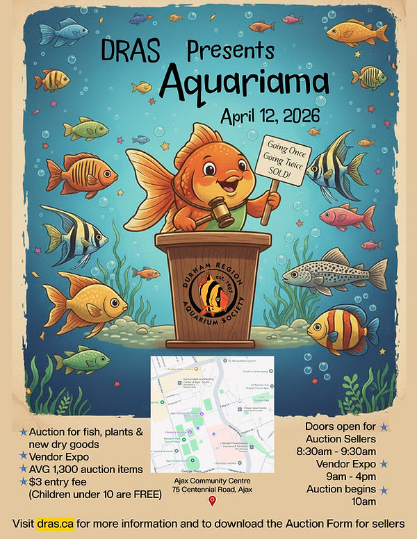 Aquariama 2026 Flyer.jpg