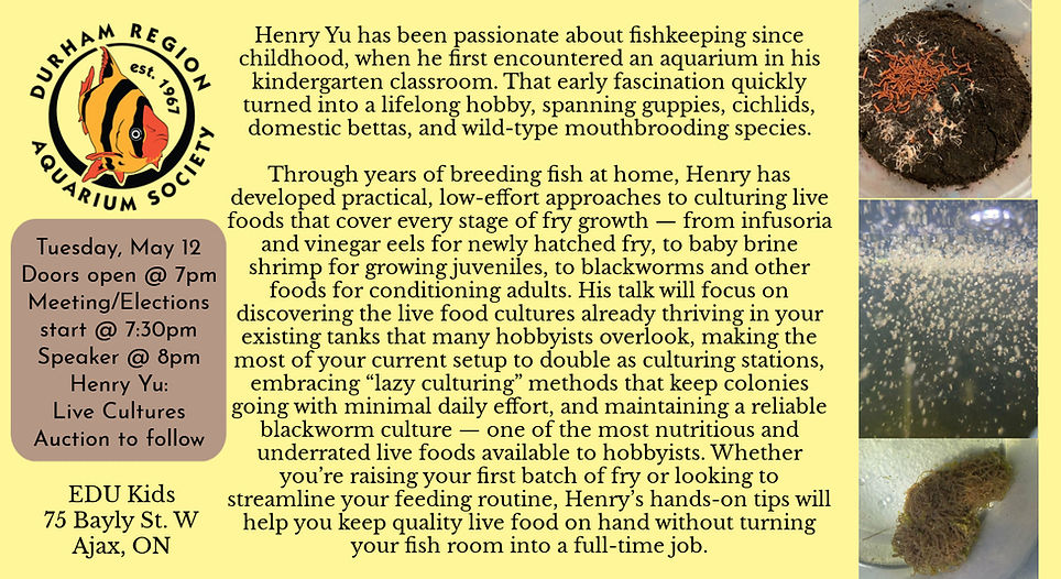 Henry Yu Live Cultures_edited.jpg