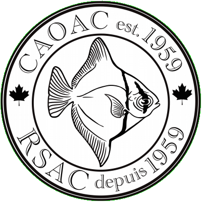 caoac logo.gif