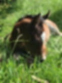 Cyprus image1 (2).jpeg