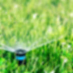 inground sprinkler head watering grass