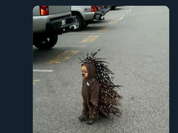 Please Laugh Here. Funny Things to Help You Smile
