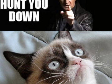 I made grumpy cat ti memes!