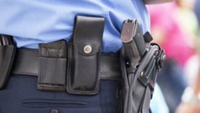 Empresa de Vigilância