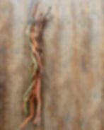 Miniatura: DESCOMPASSO