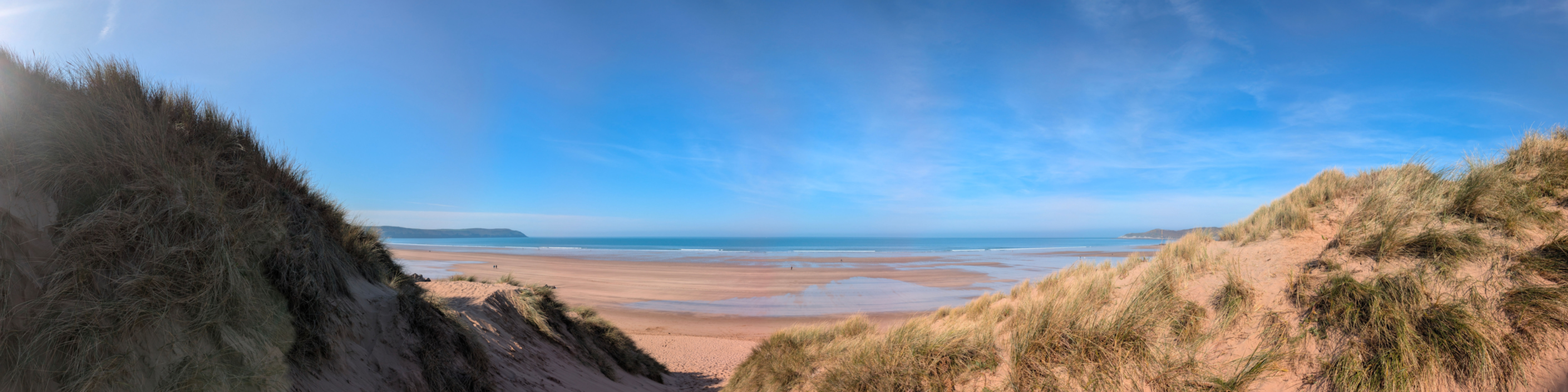 Devonshire Blue