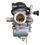 Miniatura: CARBURADOR COMPLETO GN125/EN125 PB