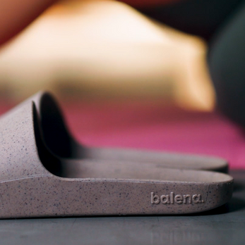 Balena Science
