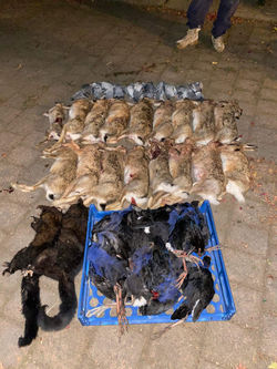 A mixed bag after a night shoot