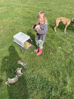 Number one ferret handler