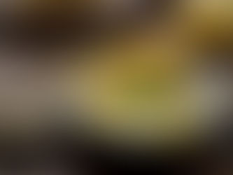 Œufs au Miel de Tournesol: