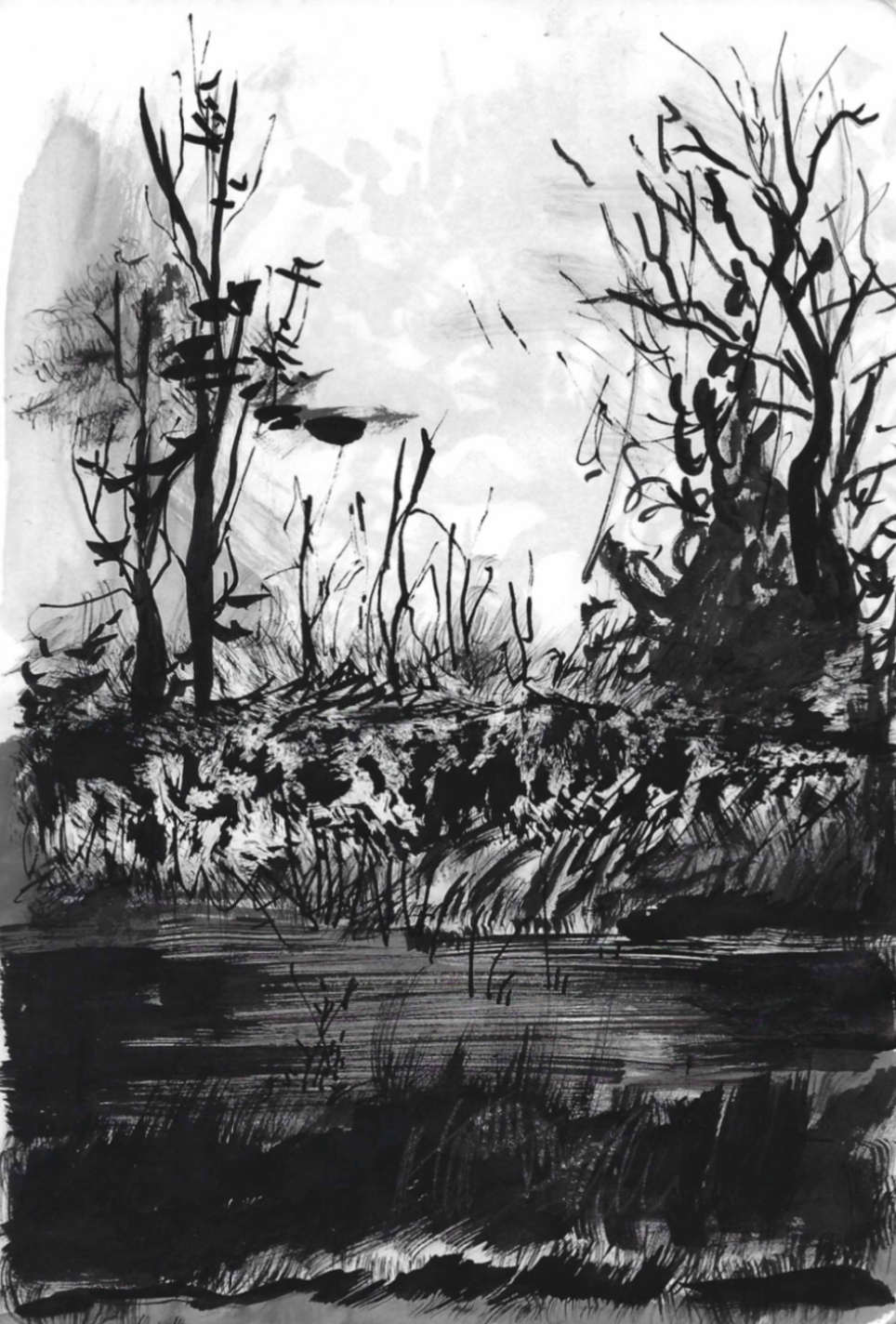 Trees 3