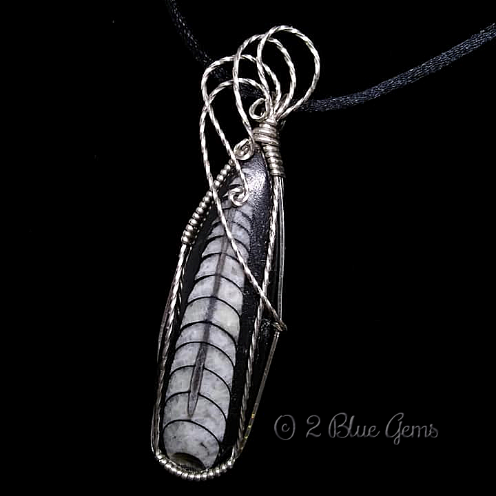 Thumbnail: Orthoceros in Sterling Silver