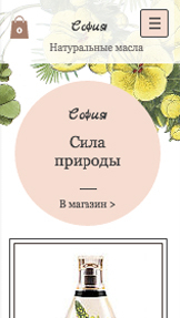 Мода и красота website templates – Косметические масла