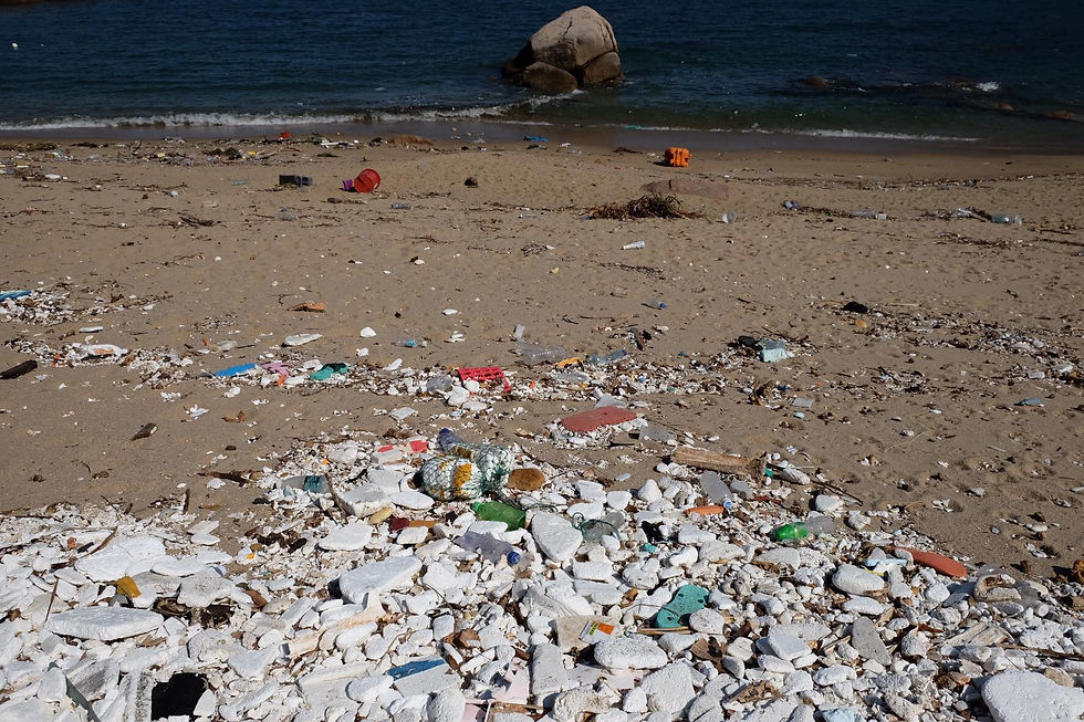 Beach cleaning