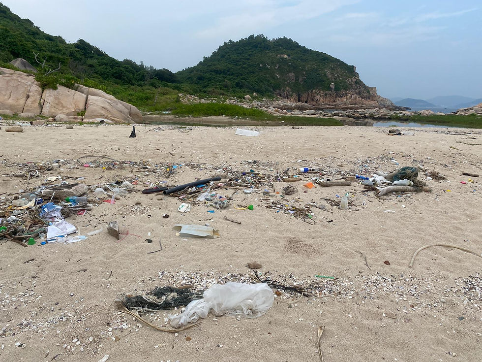 Beach cleaning