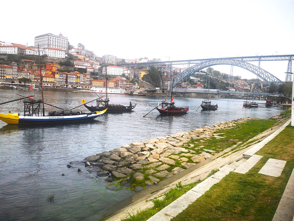 Douro river Picture