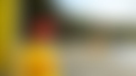 RAISING OF THE FLAGS CEREMONY