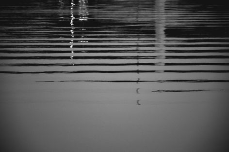 DSC_4001(1)