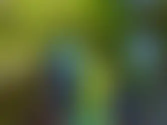 Pack Less, Enjoy More: Day Trek Essentials