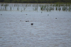 Excursión 1ºy2º 102