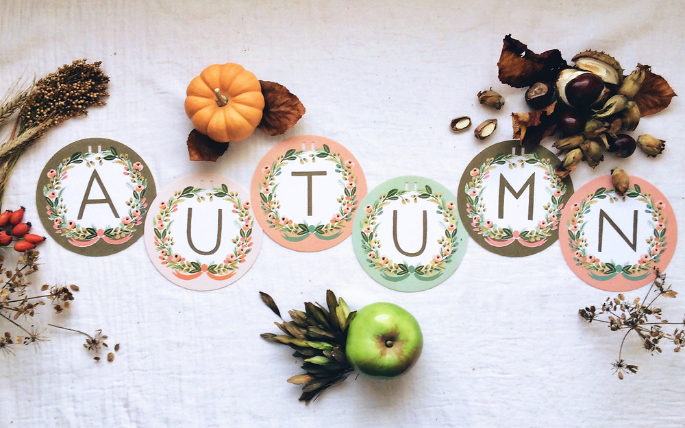 Autumn - Sky Meadow Bakery blog