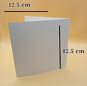Standard square bi fold.jpg