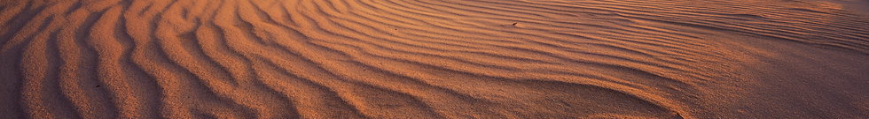 Photo of sunlit sand dunes taken from a low perspective