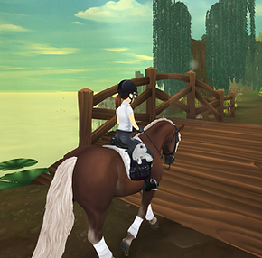 StarStable_2022-07-11_21-31-52.png
