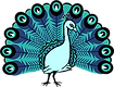 PIT peacock.png