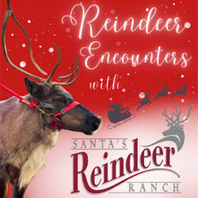 2025 Reindeer Encounters with Santas Reindeer Ranch