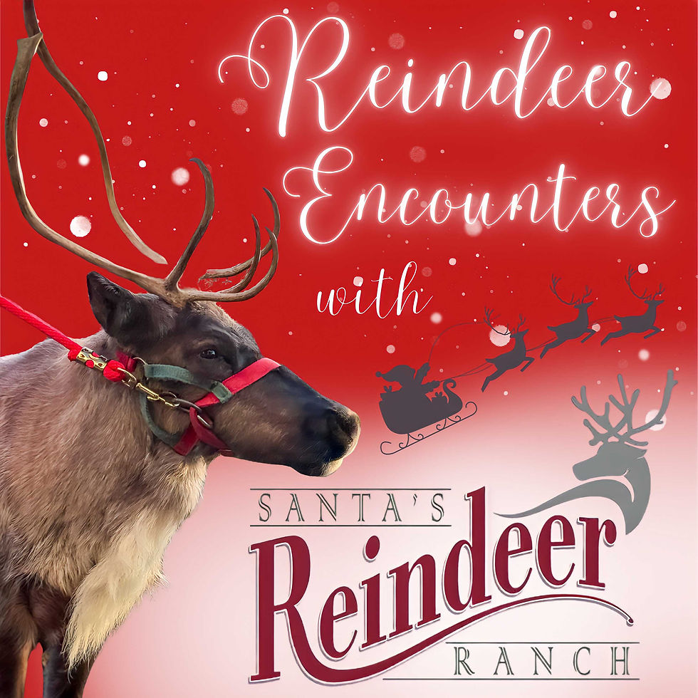2025 Reindeer Encounters with Santas Reindeer Ranch