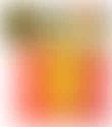 Evansville Indiana West Side Nut Club Fall Festival