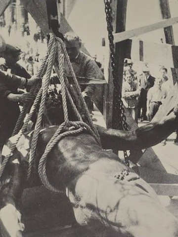 Pescarola Mon Amour - Il Nettuno a Pescarola