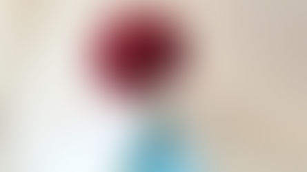 季節外れの薔薇