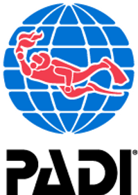 padi.png