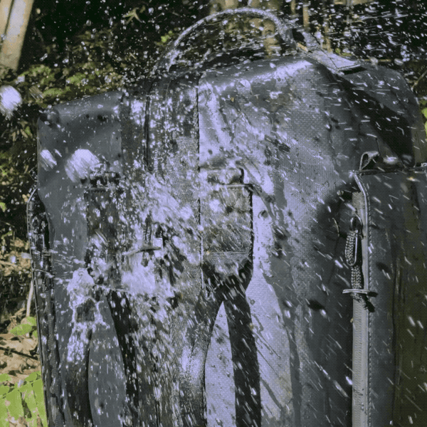 09.gif