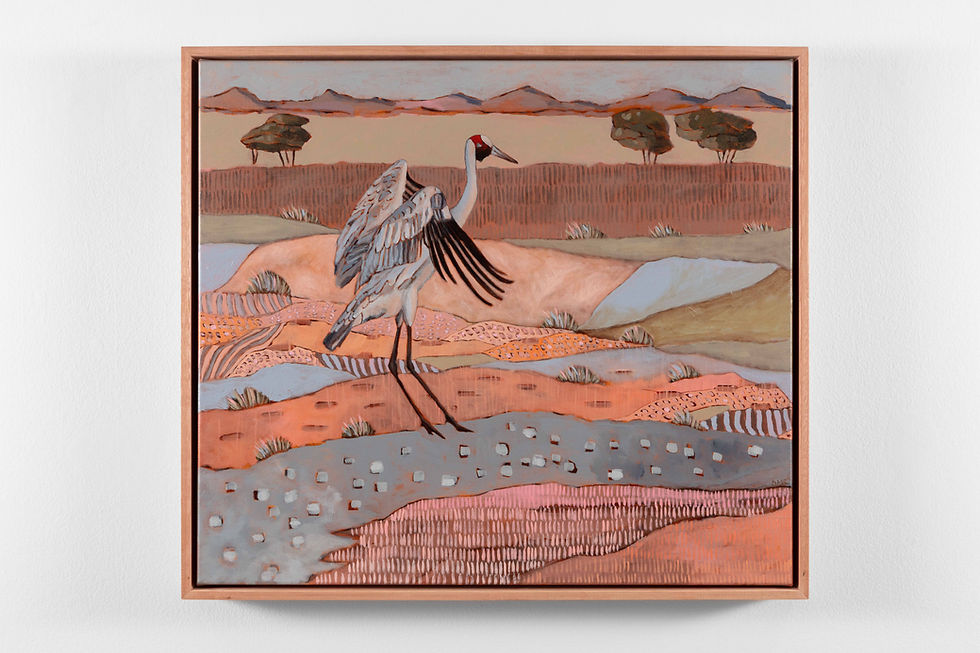 Desert Duet 1: Jumping Brolga