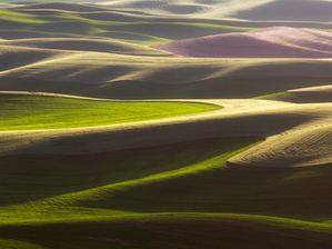 Rolling hills of the Palouse.