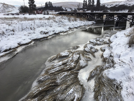 A flowing stream with snow on the banks