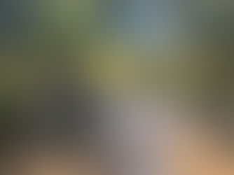 People look for macroinvertebrates in a river.